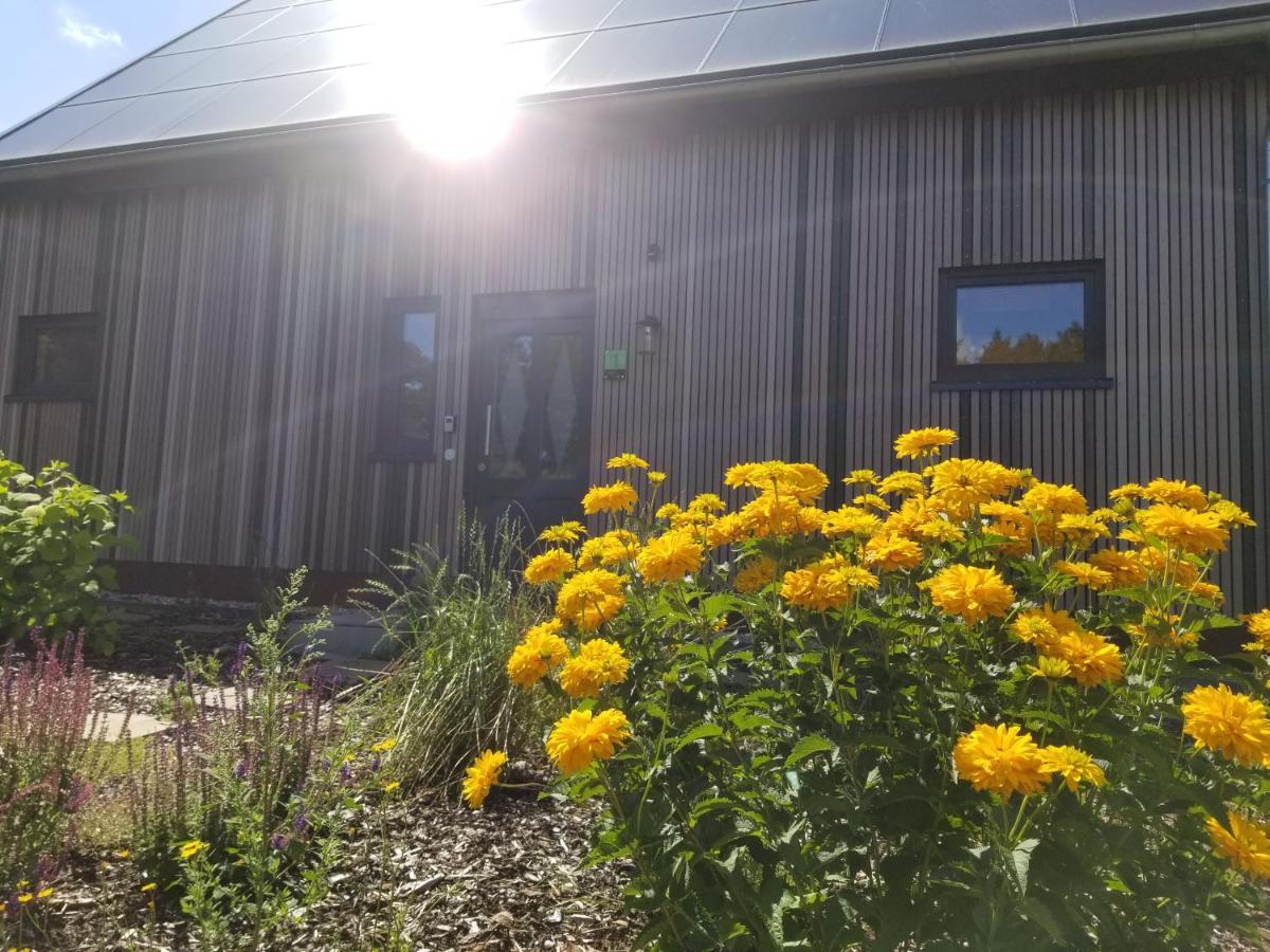 Haus Am See Rieste Екстериор снимка